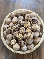 گردو با پوست درجه ۱