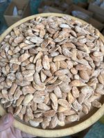 مغز مامایی متوسط تفت داده شده